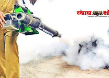 विवरे येथे डासांची फवारणी करण्याची नागरिकांची मागणी