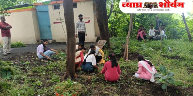 यावल महाविद्यालयात “एक दिन, एक घंटा,एक साथ राष्ट्र स्वच्छता” अभियान संपन्न