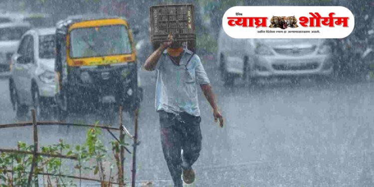 राज्यात १९ जिल्ह्यांना यलो अलर्ट; पुढील २-३ दिवस मुसळधार पावसाची शक्यता