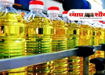 नवरात्रीत खाद्यतेल महागणार! गेल्या वर्षीप्रमाणे यंदाही दरवाढीची शक्यता