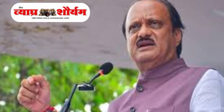 पुणे विमानतळावर खळबळ; राष्ट्रवादीच्या ज्येष्ठ नेत्याकडे रिव्हॉल्वर व काडतुसे जप्त