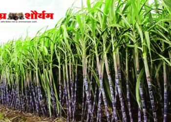 उस गाळप हंगाम १ नोव्हेंबरपासून; मुख्यमंत्री सहायता निधीसाठी प्रतिटन कपात