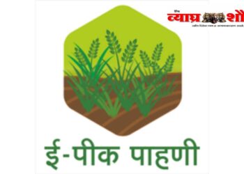 ई-पीक अँपमुळे शेतकऱ्यांचा त्रास