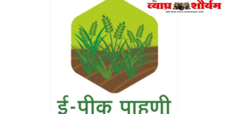 ई-पीक अँपमुळे शेतकऱ्यांचा त्रास