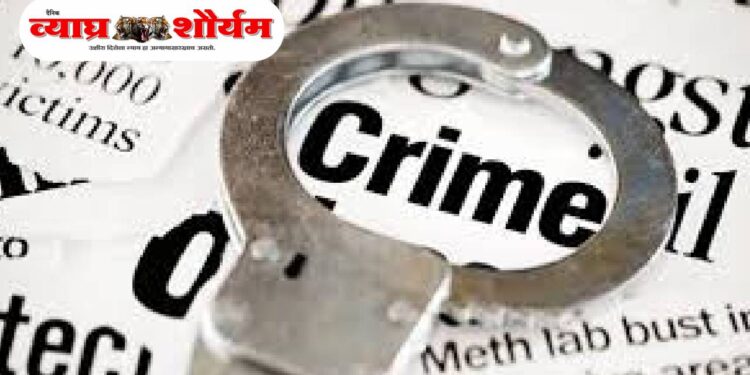 अवैध वाळू वाहतूक रोखणाऱ्या महसूल अधिकाऱ्यावर जीवघेणा हल्ला!