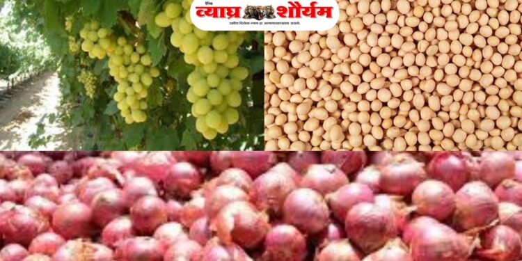 अवकाळी पावसाने पुन्हा बळीराजाची कंबर मोडली!