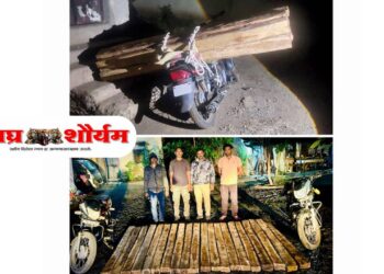 गुप्त माहितीवर यावल वन विभागाची धडक कारवाई