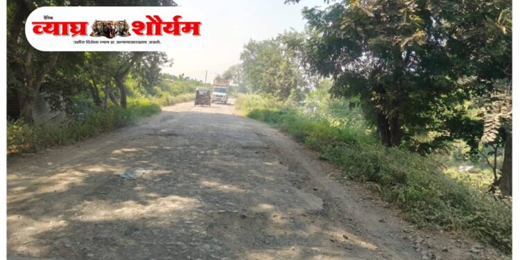 वड्री–परसाडे–सातोद रस्ता खड्डेमय!