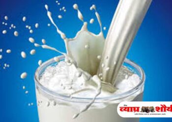 कोजागरीला दुधाचा दर शंभरी गाठला