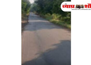 विवरे परिसरात रस्त्यांदरम्यान झाडे झुडपे वाढले, अपघाता ची शव्यता