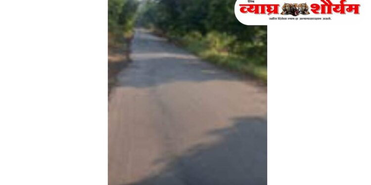 विवरे परिसरात रस्त्यांदरम्यान झाडे झुडपे वाढले, अपघाता ची शव्यता