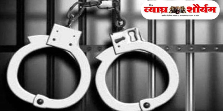 “झारखंड: सरैयाहाट पोलिस स्टेशन परिसरात १७ वर्षीय तरुणीचा शीर झाडाला लटकलेला, हत्या संदर्भात संशय”