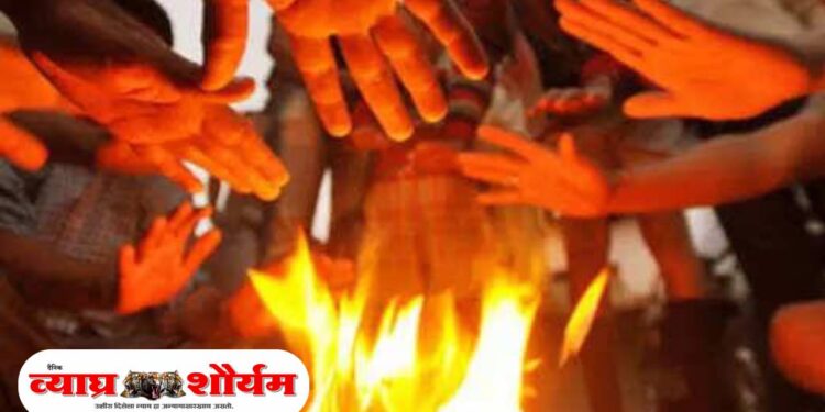 उत्तर महाराष्ट्र व विदर्भात थंडीची लाट; हवामान खात्याचा इशारा