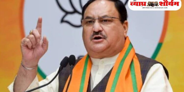 बिहार विजयाच्या पार्श्वभूमीवर भाजपमध्ये मोठे फेरबदल शक्य; नवे राष्ट्रीय अध्यक्ष निवडीला वेग