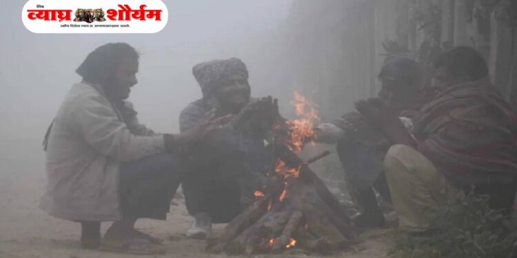 उत्तरेकडील थंड वाऱ्यांच्या प्रवाहामुळे राज्यभर गारठा; अनेक ठिकाणी पारा १४ अंशांच्या खाली