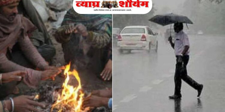 महाराष्ट्रात थंडी ओसरली; ढगाळ वातावरण आणि हलक्या पावसाची शक्यता वाढली