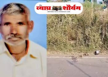 दूध देण्यासाठी जात असताना दुचाकीची धडक; ६५ वर्षीय वृद्धाचा मृत्यू