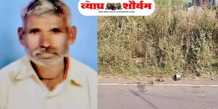दूध देण्यासाठी जात असताना दुचाकीची धडक; ६५ वर्षीय वृद्धाचा मृत्यू