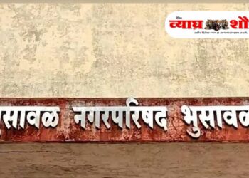 भुसावळमध्ये बहुकोनी लढतीमुळे भाजप उमेदवाराला लाभाची शक्यता