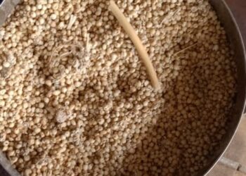 विवरे येथे धान्य दुकानात निकृष्ट ज्वारी, लाभार्थीना त्रास