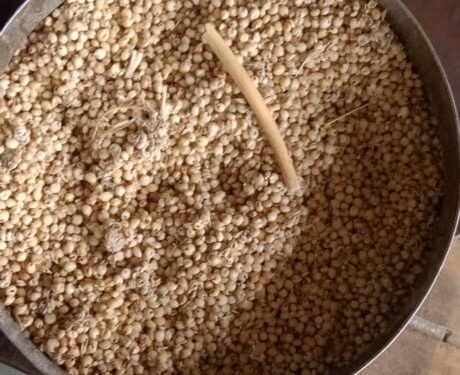 विवरे येथे धान्य दुकानात निकृष्ट ज्वारी, लाभार्थीना त्रास