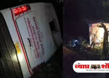 अंबा घाटात खासगी बस 70 फूट दरीत कोसळली; 15 प्रवासी जखमी, मोठा अनर्थ टळला